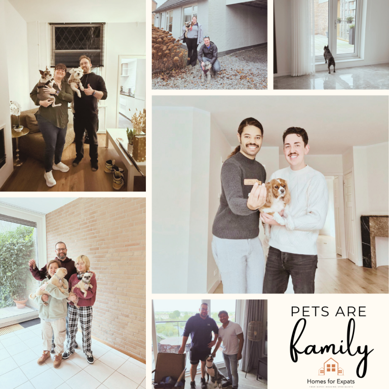 Pet-Friendly Housing in the Netherlands: How Expats Can Secure a Home With Pets